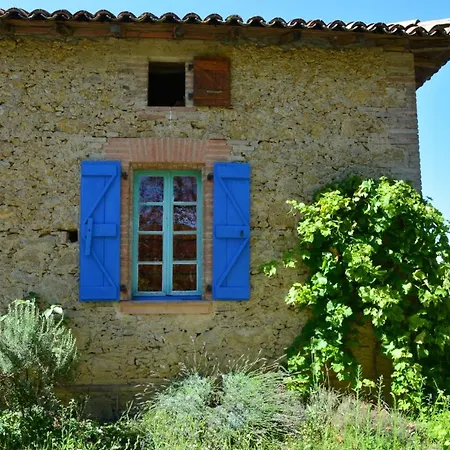 Musameou * Castelgaillard